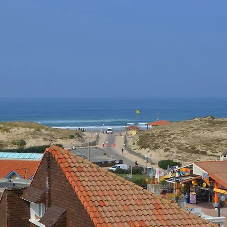 Vue Ocean A * 세노스