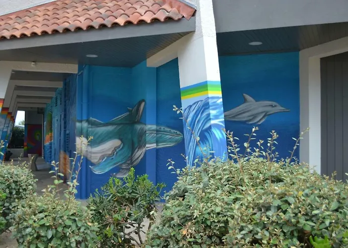 شقة Vue Ocean A *